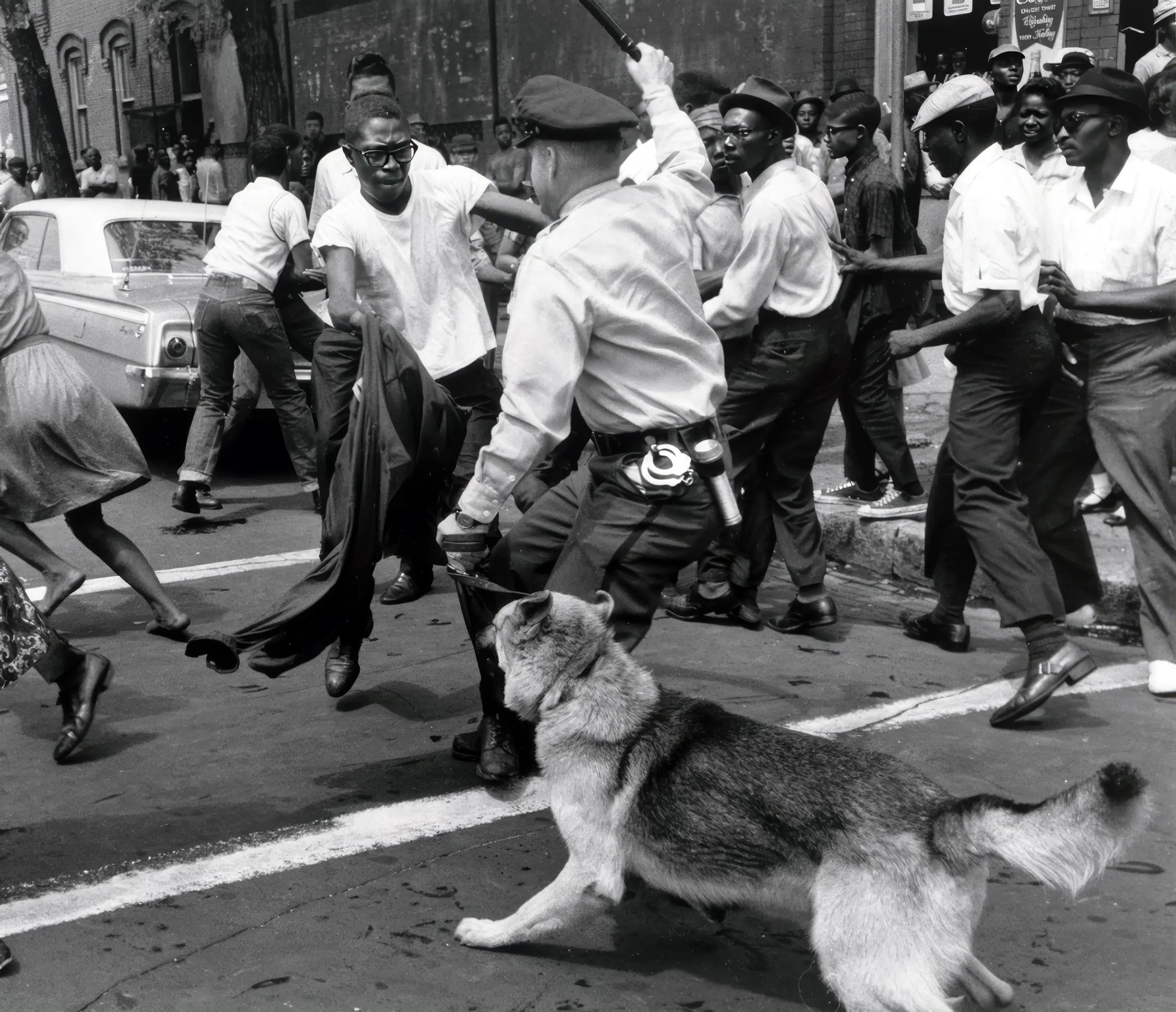 A dog is attacking a man in the street.