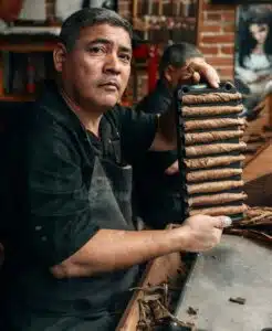 A man holding a bunch of cigars in his hands.