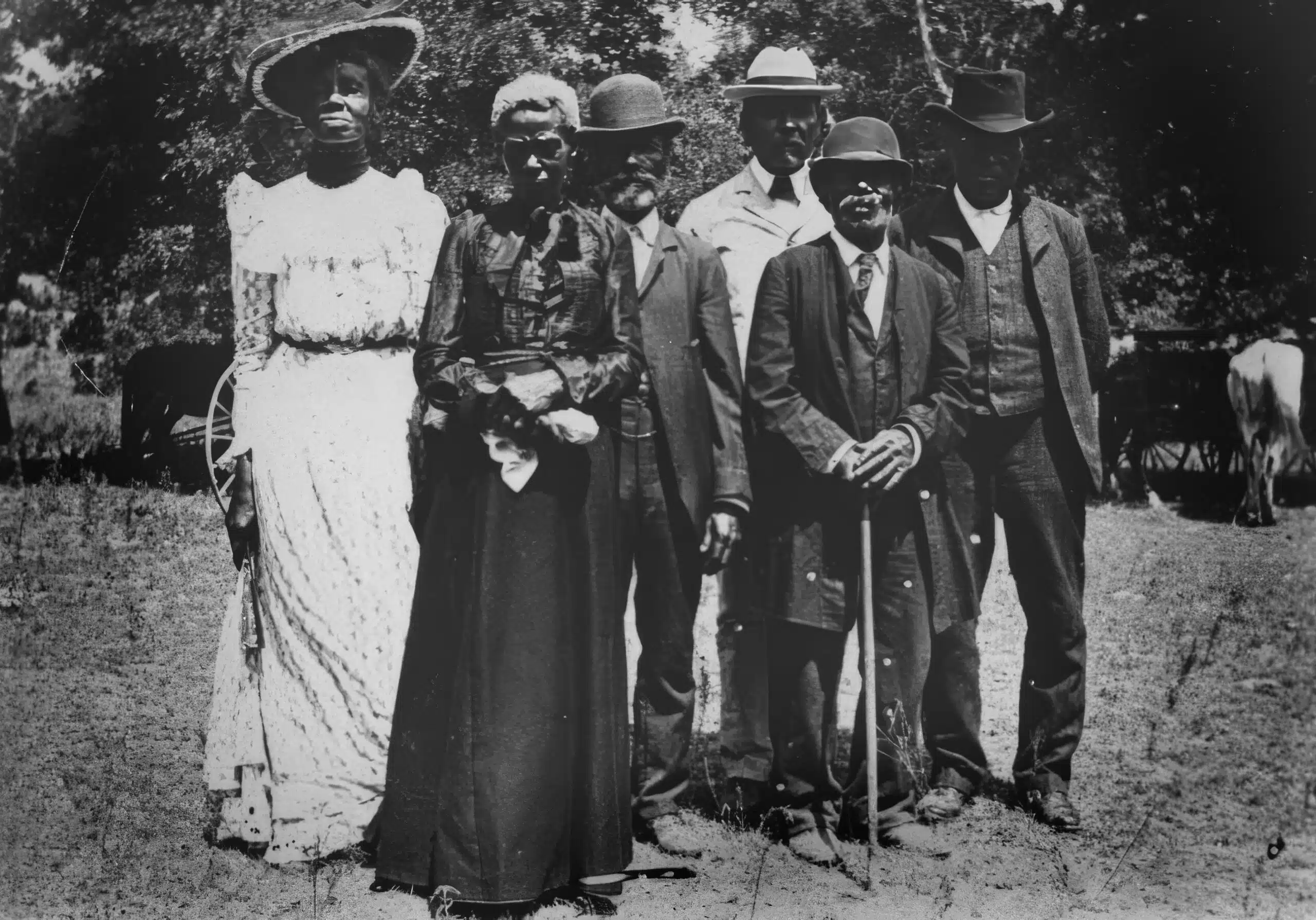 A group of people standing in front of trees.